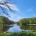 Haagse Bos